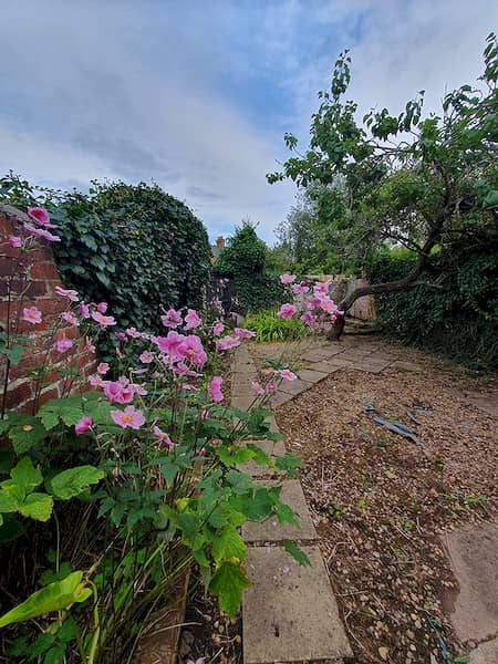 69 Old Tiverton Road, Exeter, DEVON EX4 6NG photograph 15